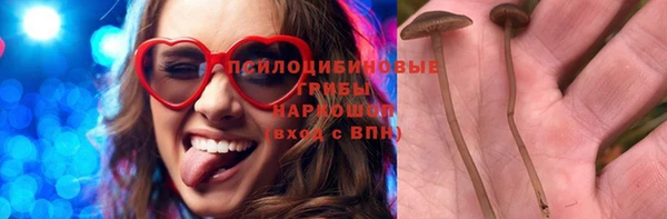 метадон Алексин
