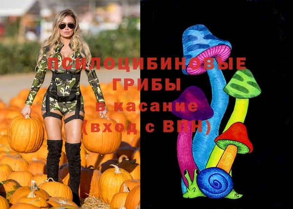 тгк Алзамай