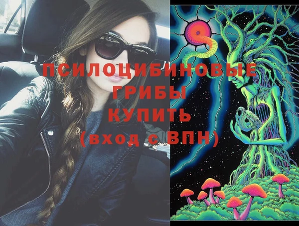 тгк Алзамай