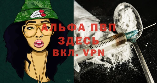 метадон Алексин