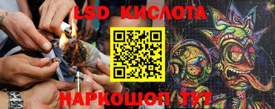spice Нальчик