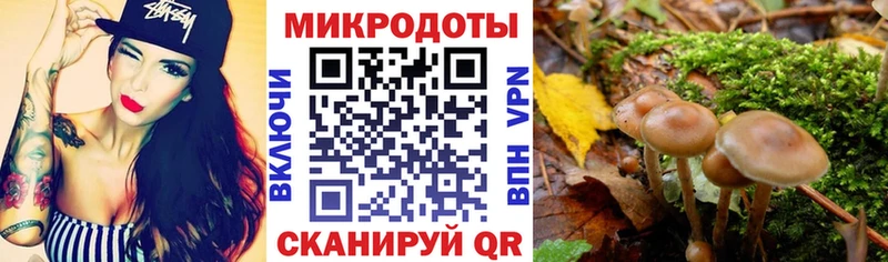 Галлюциногенные грибы Psilocybine cubensis  Чебоксары 