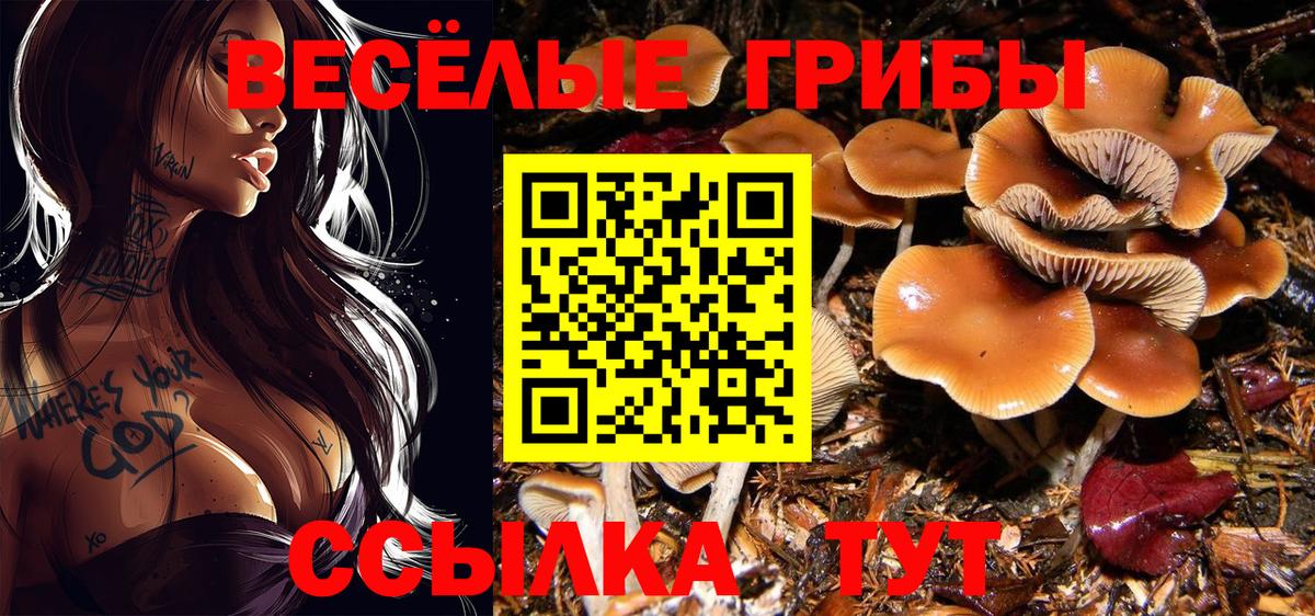 Бутират Чебоксары